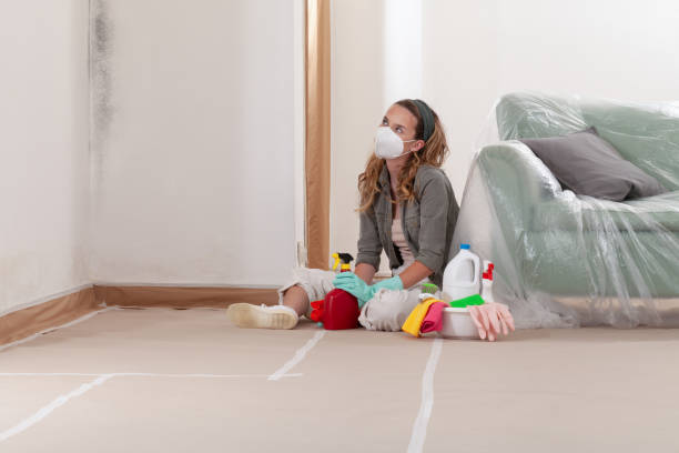 Reliable Mold Remediation contractor in Hudson, FL by WQB Mold Removal